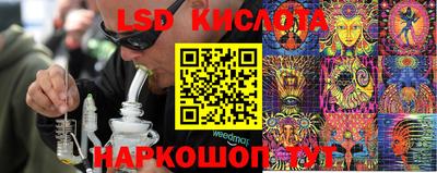 сатива Краснокаменск