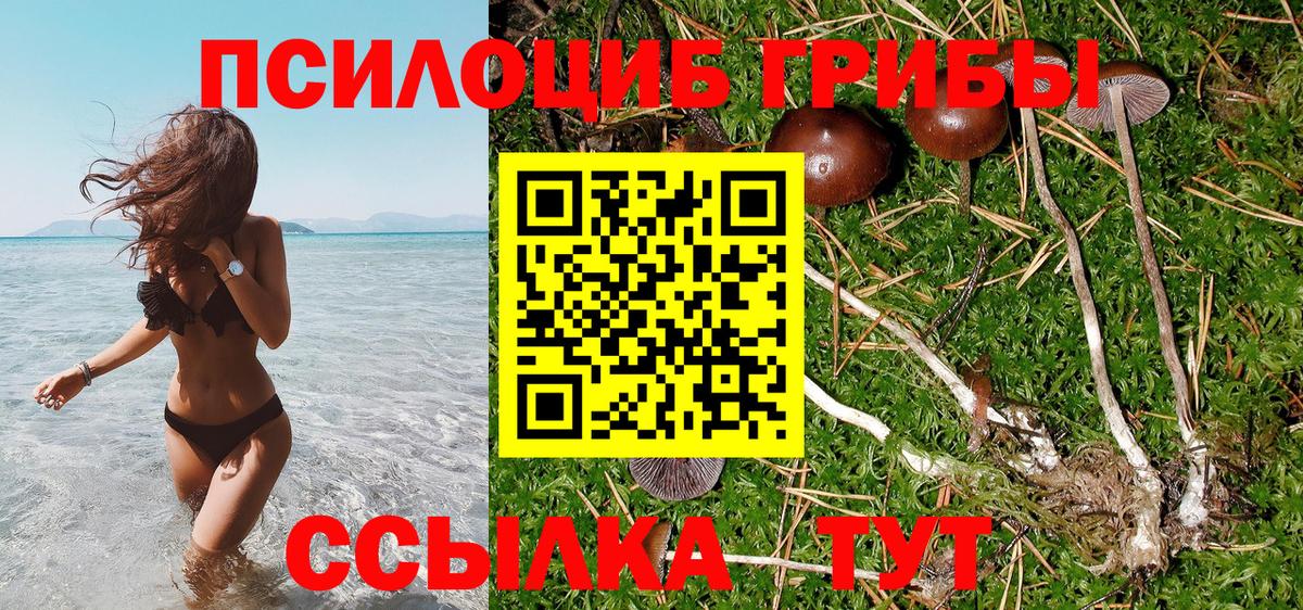 Галлюциногенные грибы прущие грибы Коркино